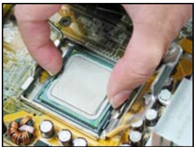 ASUS M3A78 - Socket Intel LGA775 - 3