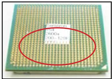 ASUS M3A78 - Mauvaise connexion - 5
