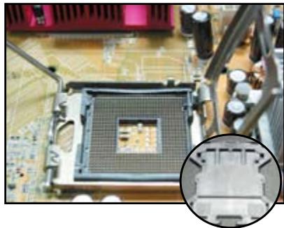 ASUS M3A78 - Socket Intel LGA775 - 2