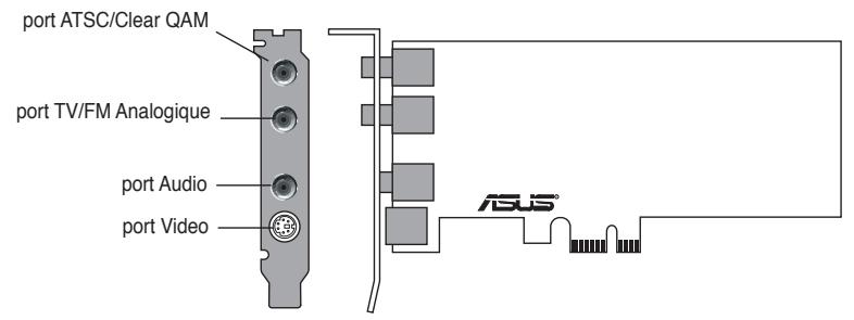 ASUS MY CINEMA-PE6200ANALOG - Composition de la carte/récepteur - 2