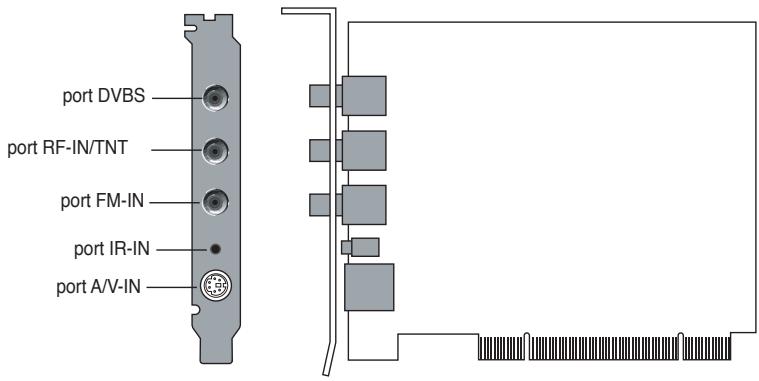 ASUS MY CINEMA-PHC3-100 - Composition de la carte/recepteur - 5