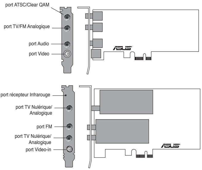 ASUS MY CINEMA-U3100MINI/DVBT - Composition de la carte/recepteur - 3