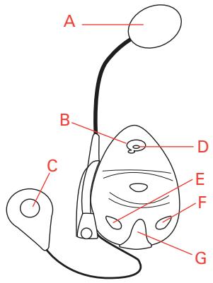 TOMTOM RIDER - Configuration - 1