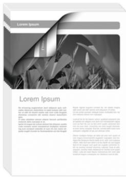RICOH AFICIO SP 3410DN - L'impression bureau critique sans effort - 1
