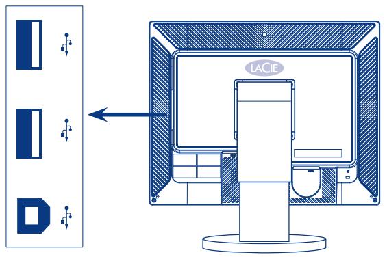 LACIE 730 EASYHOOD LOGICIEL DE CALIBRATION COLORIMÈTRE - Connexion de périphériques USB - 3