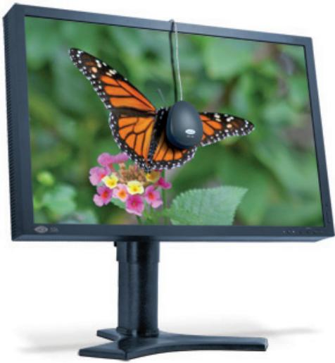 LACIE 730 EASYHOOD LOGICIEL DE CALIBRATION COLORIMÈTRE - Introduction au colorimètre LaCie blue eye pro - 1