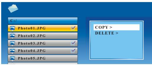 GENIUS DPF-700 - Copie/suppression : - 1