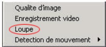 PLUSTEK IPCAM P1000 - Comment agrandir un écran - 1
