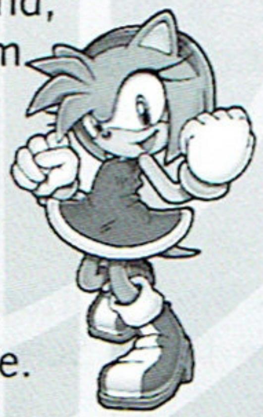 GAMES NINTENDO DS SONIC RUSH - Amy Rose - 1