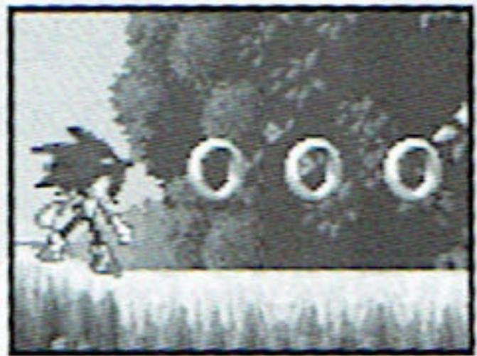 GAMES NINTENDO DS SONIC RUSH - Rings - 1