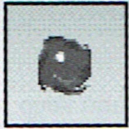 GAMES NINTENDO DS SONIC RUSH - A/B Button - 1
