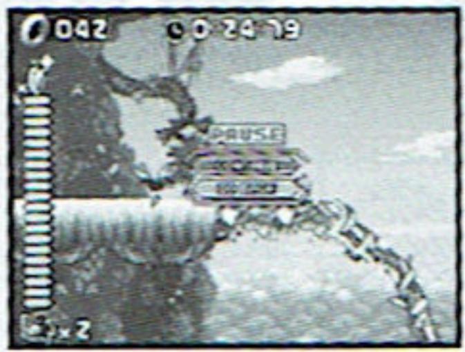 GAMES NINTENDO DS SONIC RUSH - Pause - 1