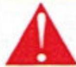 GAMES NINTENDO DS SONIC RUSH - IMPORTANT SAFETY INFORMATION: READ THE FOLLOWING WARNINGS BEFORE YOU OR YOUR CHILD PLAY VIDEO GAMES. - 1