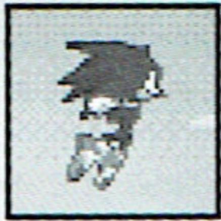 GAMES NINTENDO DS SONIC RUSH - Spin Jump, R Button - 1