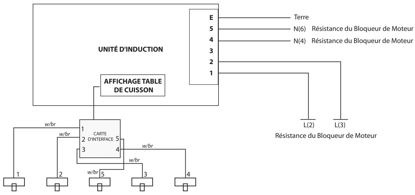 FALCON ELAN 90 INDUCTION RG - Schémas de Câblage - 1