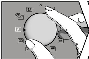 BRANDT QUICK AND STEAM - - Démarrage d'une pyrolyse - 1