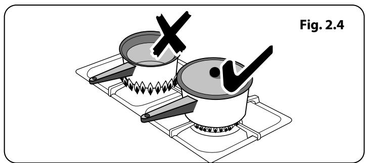 FALCON NUS 90 INDUCTION - Brûleurs de table de cuisson - 2