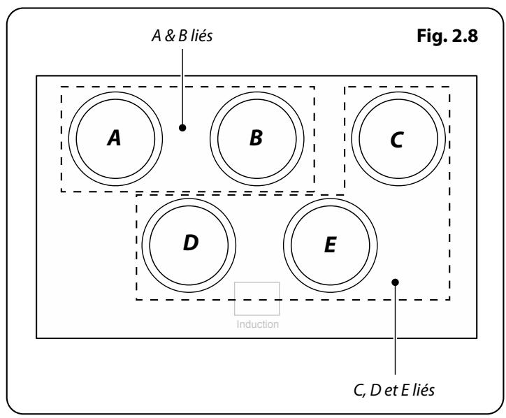 FALCON MODERN PROFESSIONAL+ 110 INDUCTION (CRA¨ME) - Fonction de surchauffe - 2