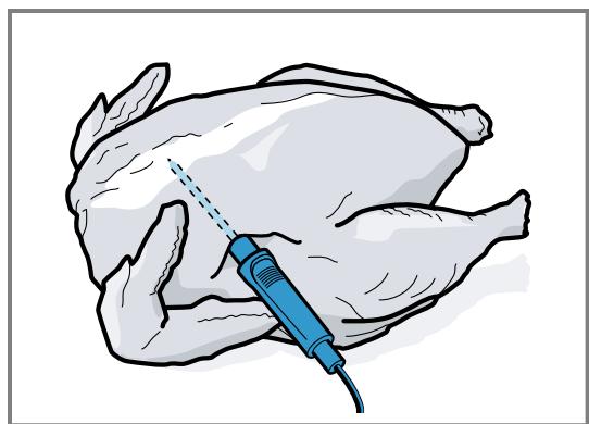 GAGGENAU BS484112  -  BS484112 - Insérer la sonde thermométrique dans de la volaille - 2