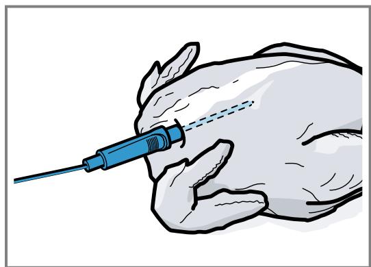 GAGGENAU BS484112  -  BS484112 - Insérer la sonde thermométrique dans de la volaille - 1