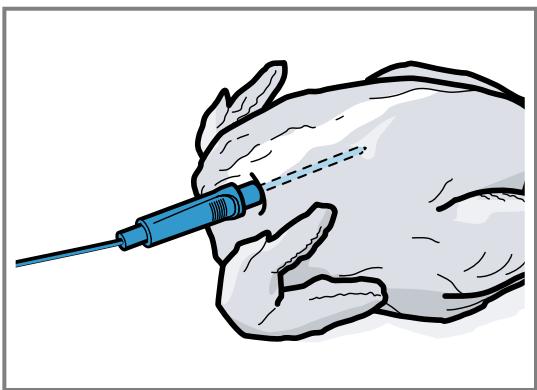 GAGGENAU BS451101  -  BS451101 - Insérer la sonde thermométrique dans de la volaille - 1