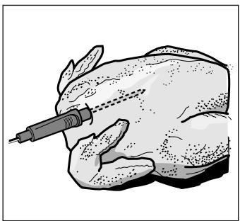 GAGGENAU BO450112  -  BO450112 - Introduire la sonde thermométrique dans l'aliment à cuire - 2