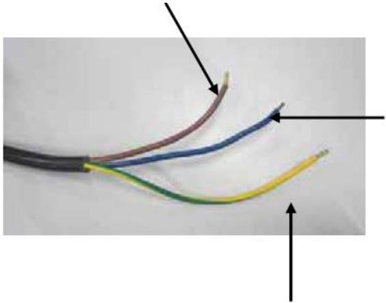 THOMSON TMFP701IX - Raccordement électrique - 1