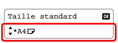 Taille standard * *A4