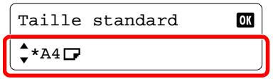 Taille standard * *A4