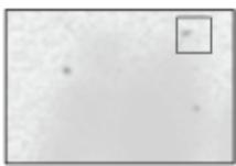 OKI C824N - Toute la zone du papier entier est légèrement teintée lors de l'impression sur enveloppe ou papier couché - 1