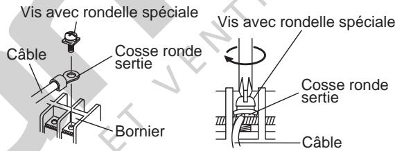 FUJITSU AOYG45LBLA6 - Avec du fil souple - 2
