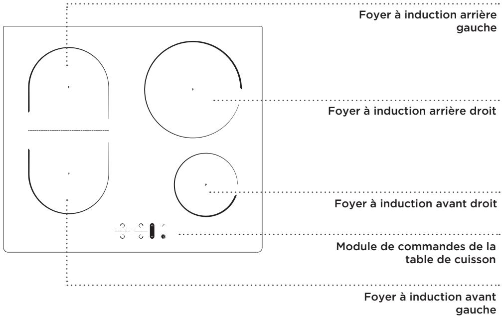 HISENSE HI65022BW - PLAN DE CUISSON (selon le modèle) - 1