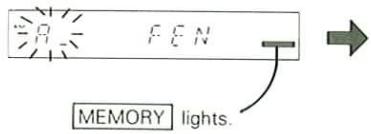 MEMORY lights.