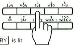 1 SUN 2 MÖN 3 TÜE 4 WED 5 THU 6 FRI 7 SAT E 9 Y WEEK 1 10.0 WEEK 2 RY is lit.
