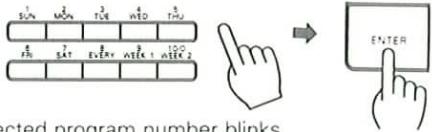 1 5/4N 2 M0N 3 TCE 4 HED 5 THU 6 TUE 7 SAT 8 EVEY 9 MEG 10 OEE 11 BEE 12 E ENTER ected program number blinks