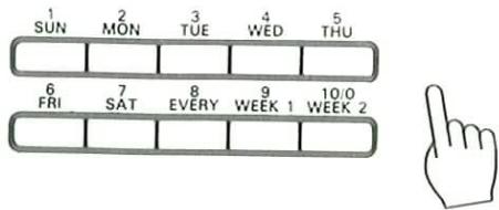 1 SUN 2 MON 3 TUE 4 WED 5 THU 6 FRI 7 SAT 8 EVERY 9 WEEK 1 10/0 WEEK 2