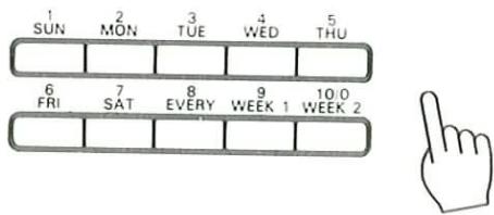 1 SUN 2 MON 3 TUE 4 WED 5 THU 6 FRI 7 SAT 8 EVERY 9 WEEK 1 10.0 WEEK 2