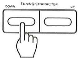 TUNING/CHARACTER DOWN UP