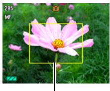 CASIO EXILIM EX-H15 - To focus with manual focus - 1