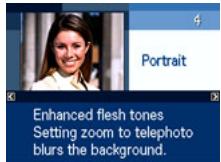 CASIO EXILIM EX-H15 - Using Scene Information Screen - 1