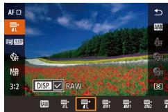 CANON POWERSHOT G3 X - Capture au format RAW - 1