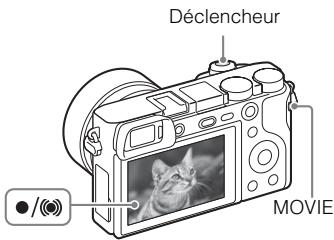 SONY A6000 - Prise de vue d'images fixes/de films - 1