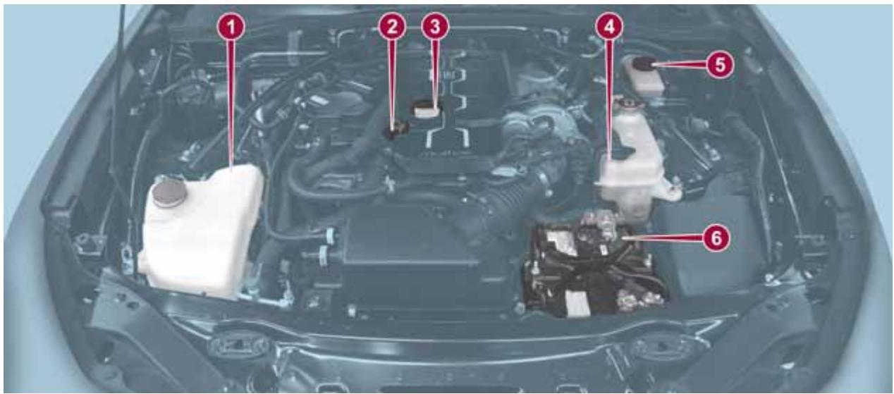 FIAT 124 SPIDER - Contrôle des niveaux - 2