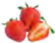 MAGIMIX 18080F - 18081F JUICE EXPERT 3 - EXTRA PRESS® - 1