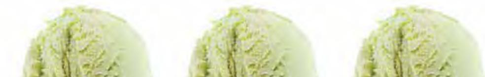 MAGIMIX 18080F - 18081F JUICE EXPERT 3 - SORBET À LA MYRTILLE et AUX NOISETTES - 2