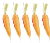 MAGIMIX 18080F - 18081F JUICE EXPERT 3 - COUPE-LÉGUMES - 6