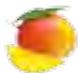MAGIMIX 18080F - 18081F JUICE EXPERT 3 - EXTRA PRESS® - 3