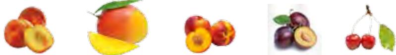MAGIMIX 18080F - 18081F JUICE EXPERT 3 - ASTUCES ET CONSEILS - 3
