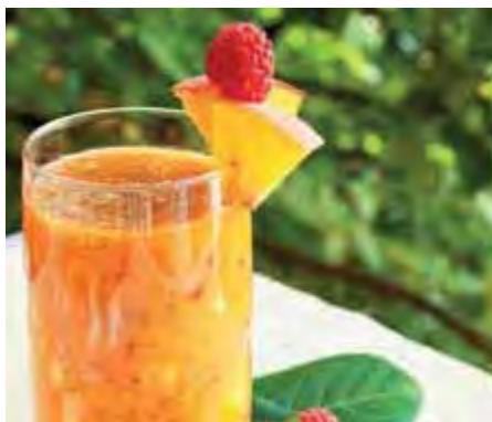 MAGIMIX 18080F - 18081F JUICE EXPERT 3 - SÉLECTION DES RECETTES - 4