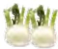 MAGIMIX 18080F - 18081F JUICE EXPERT 3 - COUPE-LÉGUMES - 3